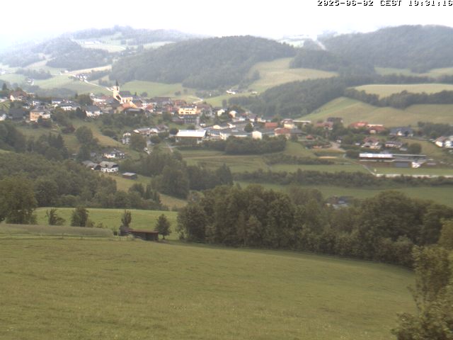 Camera Live Image