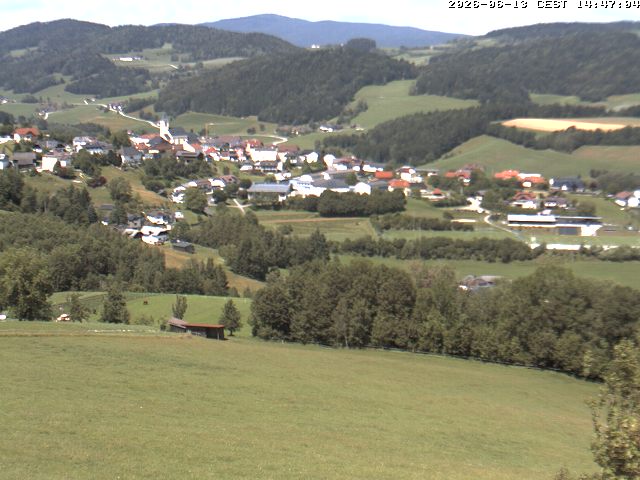Camera Live Image