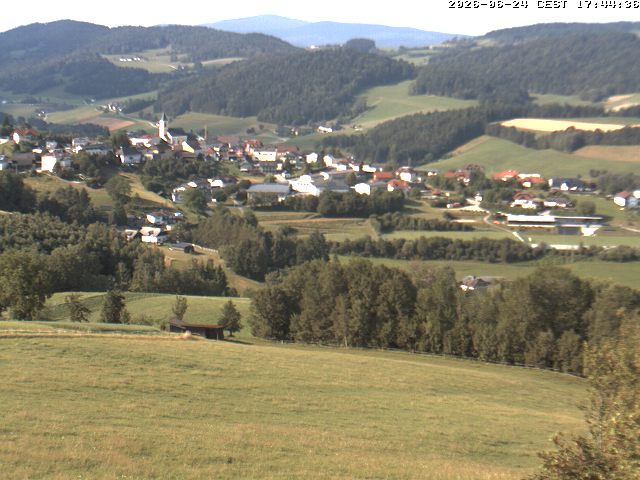 Camera Live Image
