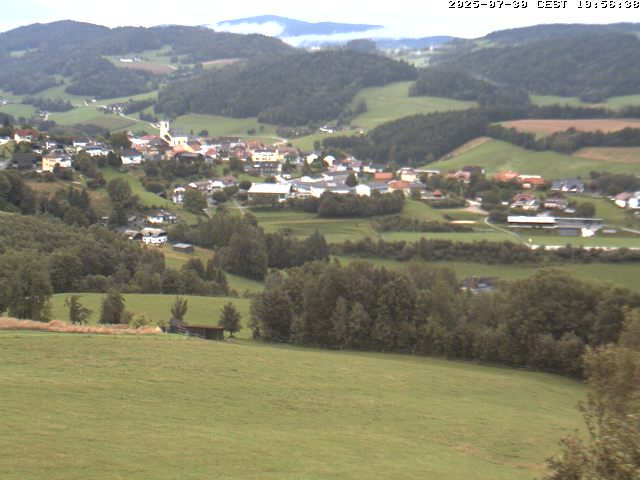 Camera Live Image