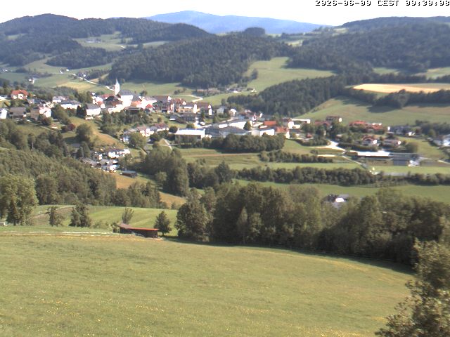 Camera Live Image