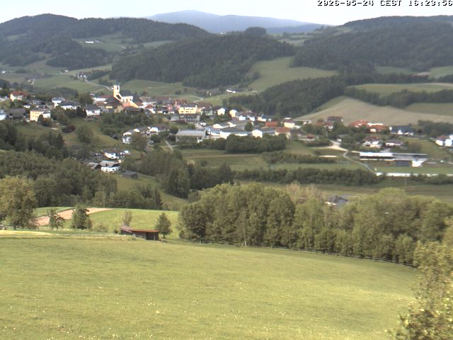Camera Live Image
