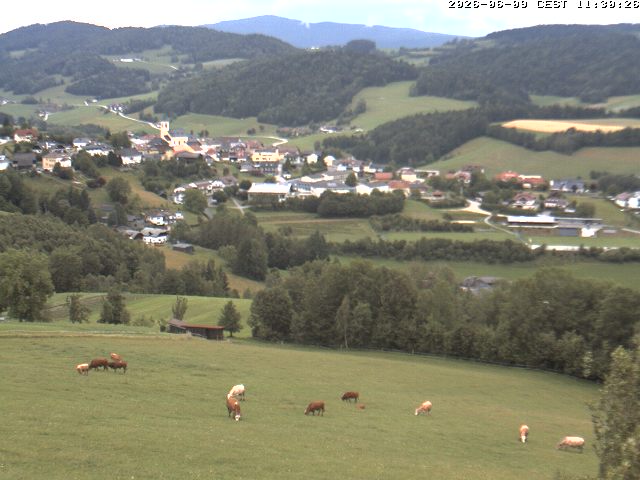 Camera Live Image