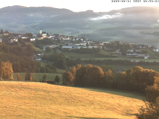 Camera Live Image