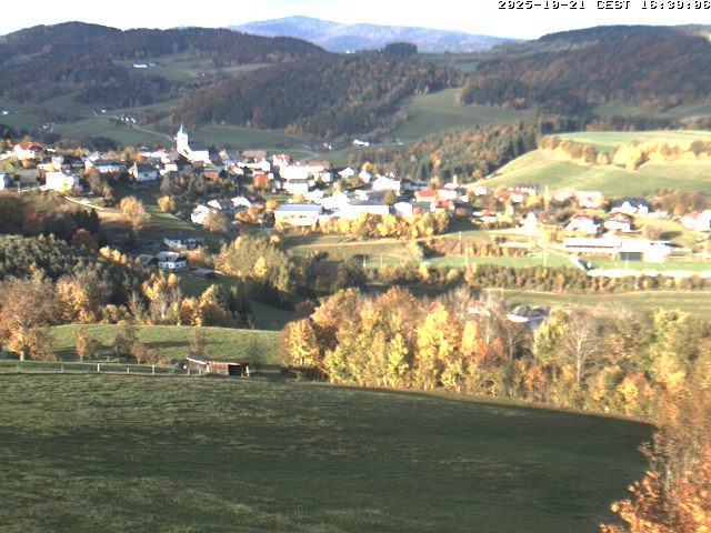 Camera Live Image