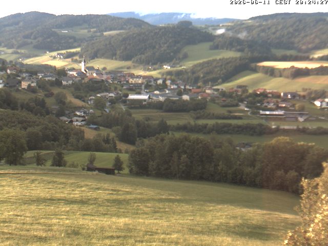 Camera Live Image