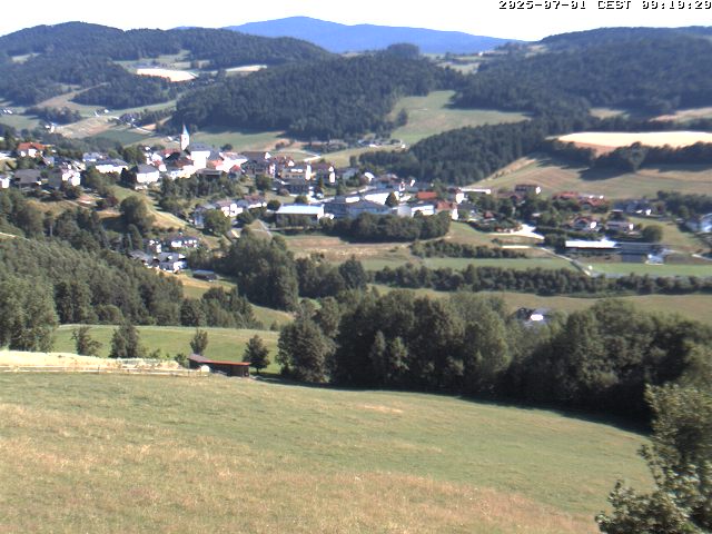 Camera Live Image