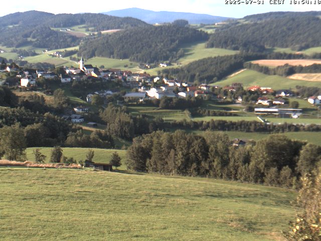 Camera Live Image